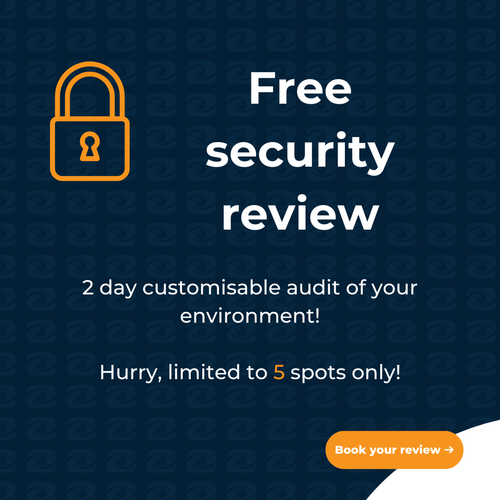 Free security review